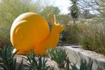 PICTURES/Desert Botanical Gardens - Wild Rising Cracking Art/t_Snail9.JPG
